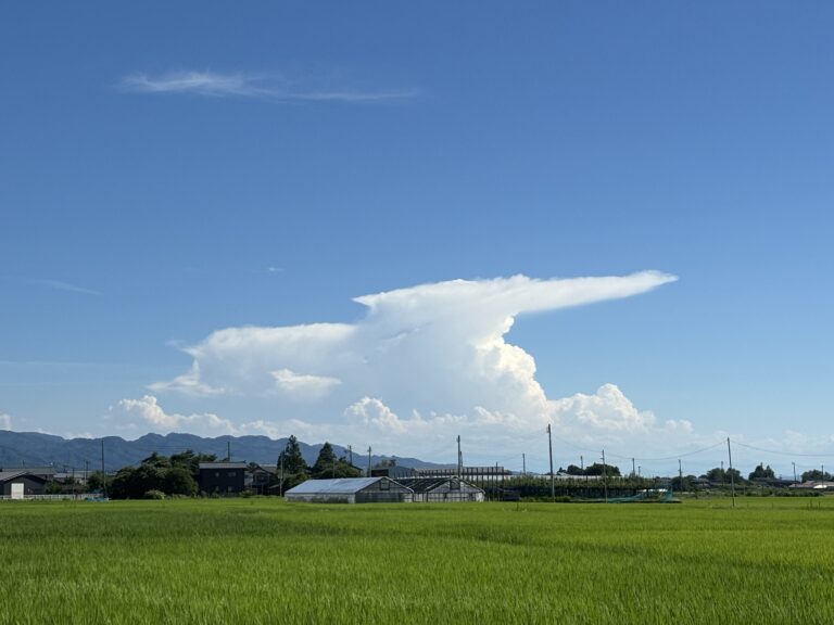 夏本番だぁー！